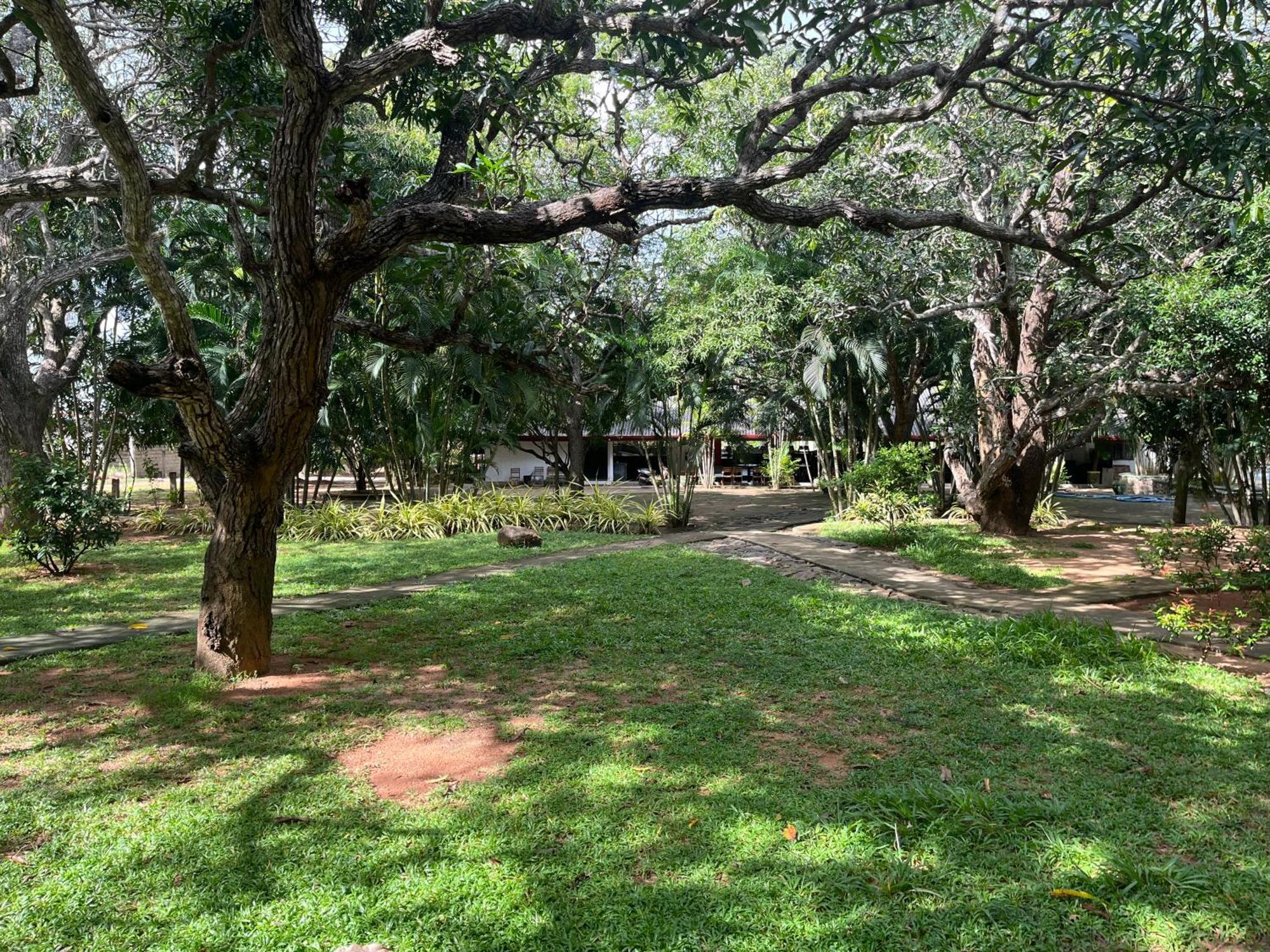 Royal Green Garden - Puttalam Exteriér fotografie